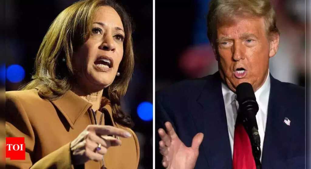 US election 2024: Your questions answered on 2024 Trump vs. Harris election; when is the voting day, how voting counting conducted and other | World News