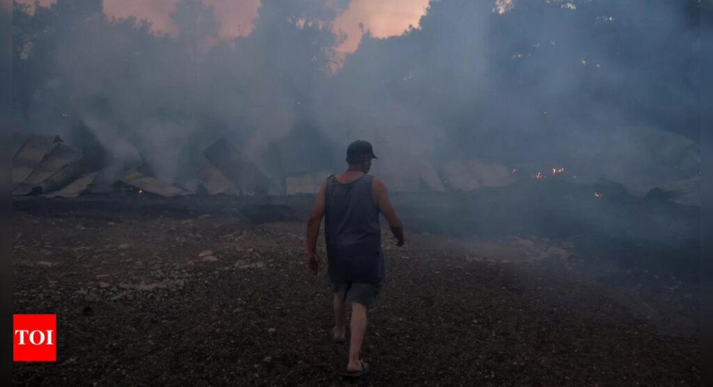 Livestock: Goat breeder says he’s finished after deadly Evros wildfire kills livestock