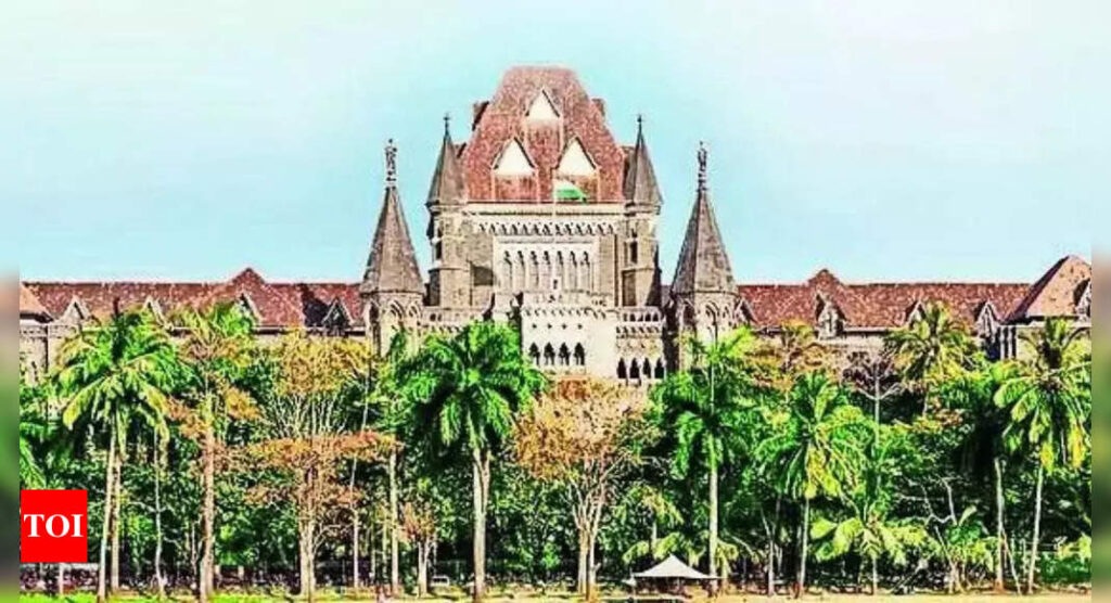 ‘Illegal approach for parenthood’: Bombay HC grants bail to lesbian couple in kidnapping case | Mumbai News