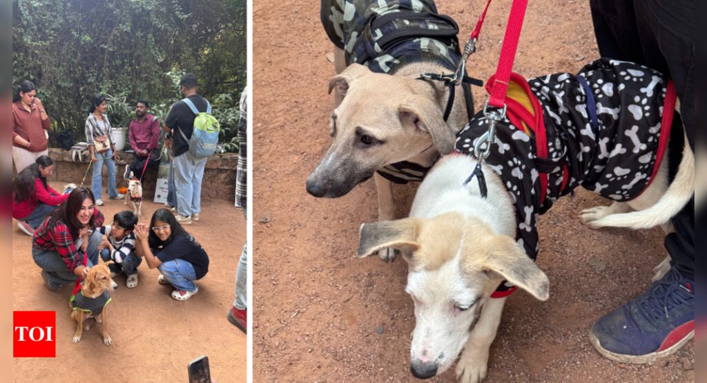 No dogs allowed in the dog carnival! | Delhi News