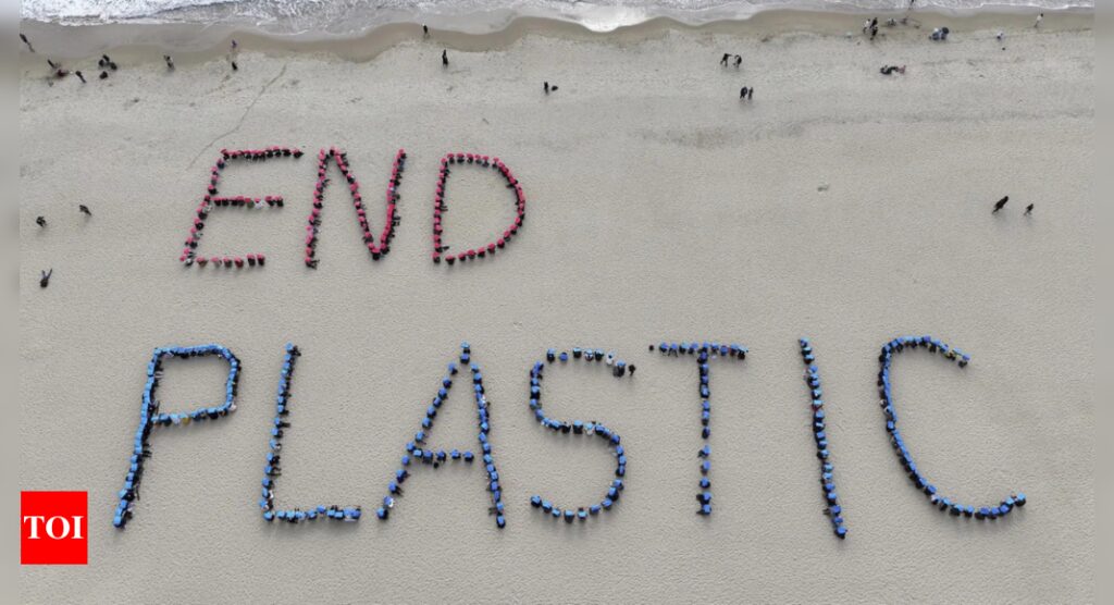 In South Korea, nations meet in final round to address global plastic crisis