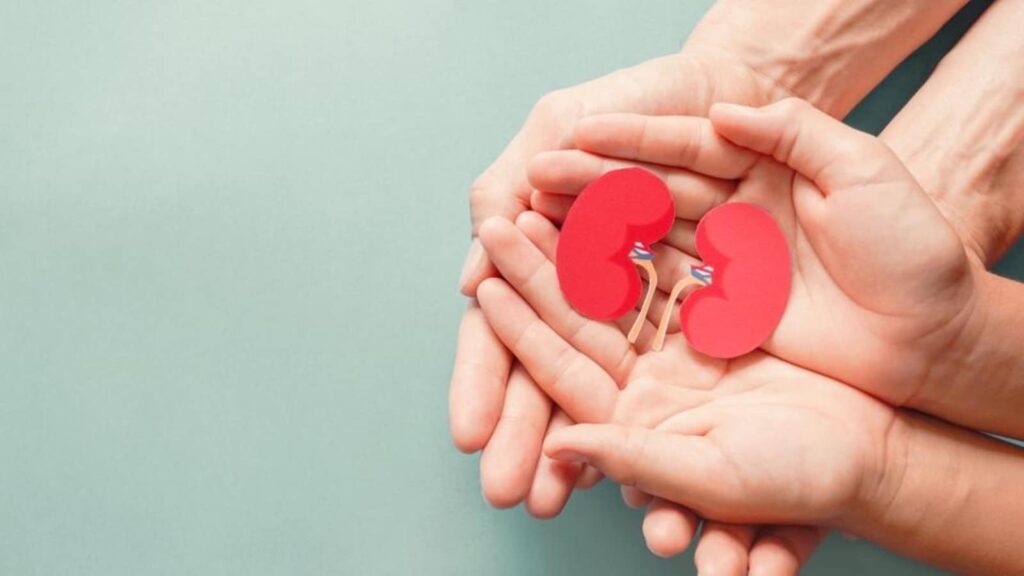 Blood in urine? It can be kidney fungus; know causes, early signs, preventive measures | Health