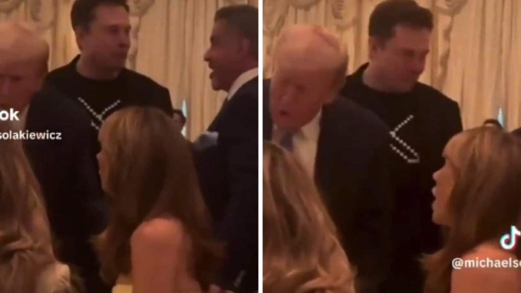 Leaked video from Trump’s Thanksgiving dinner shows Elon Musk with Sylvester Stallone. Watch | Trending