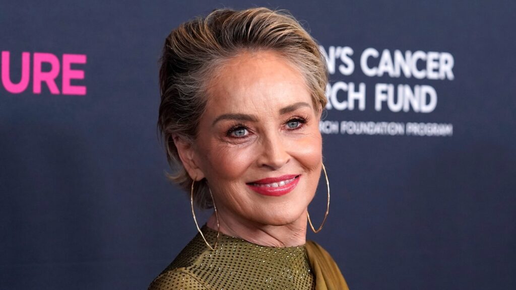 Sharon Stone blasts ‘uneducated’ passportless Americans in blistering rant against Trump; Internet hits back