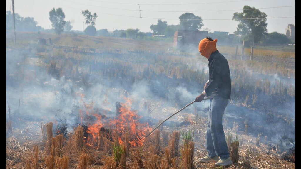 The warning in landscape fires