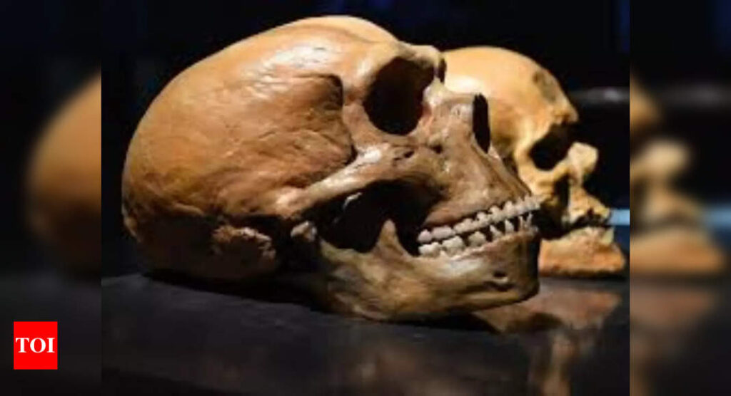 New ‘big head’ human species discovered in Asia, scientists reveal