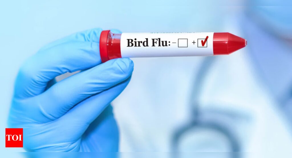Bird Flu: Can bird flu spread through air? How to stay safe |