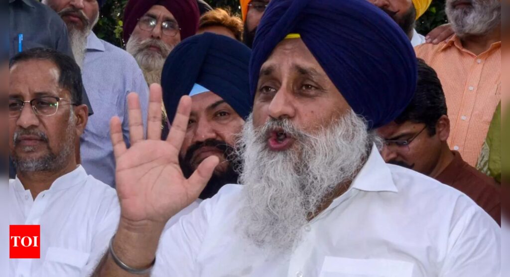 Attack on former Punjab dy CM Sukhbir Singh Badal shows rise of radical fringe | India News