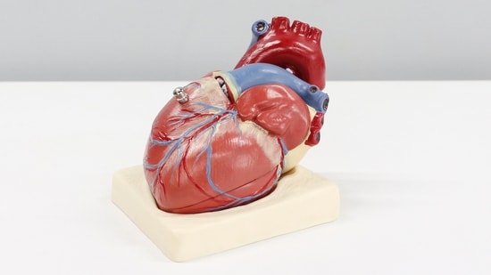 Health News Live December 8, 2024 : Minimally invasive cardiac surgery: Heart risks for your parents, benefits, lifestyle changes, recovery secrets