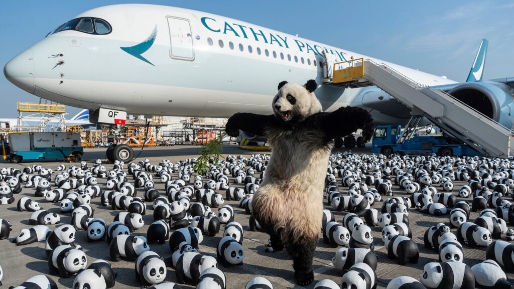 Hong Kong’s largest panda-themed exhibition with 2,500 sculptures aims to draw tourists | Travel