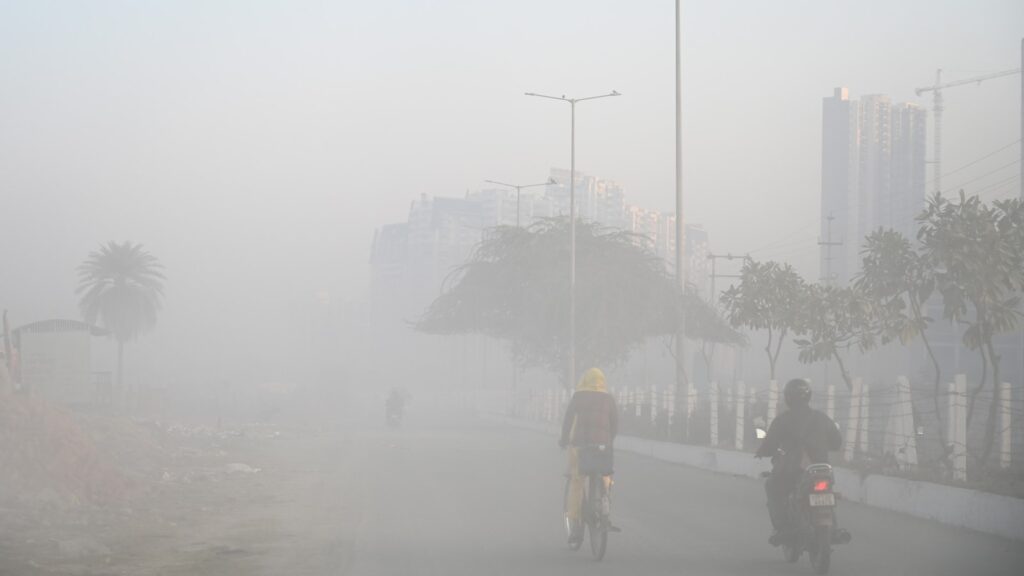 In pics: Delhi shivers at 4.9 degrees as cold wave sweeps north India; IMD warns of further drop