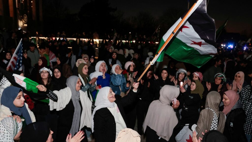In pics: Syrians celebrate as President Bashar al-Assad ousted