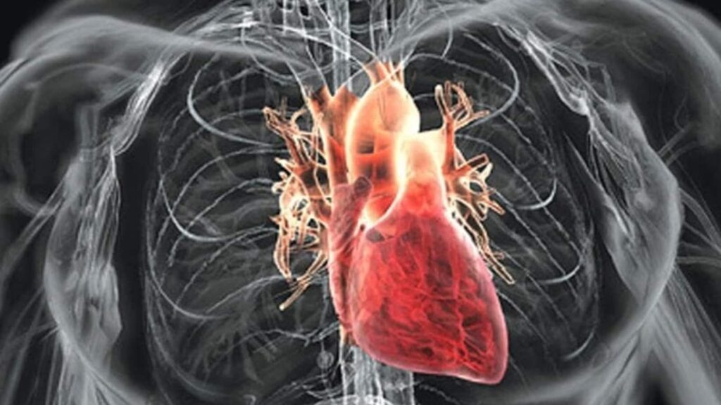 Just had a bypass? Follow these 18 golden rules for a stronger heart after bypass surgery | Health
