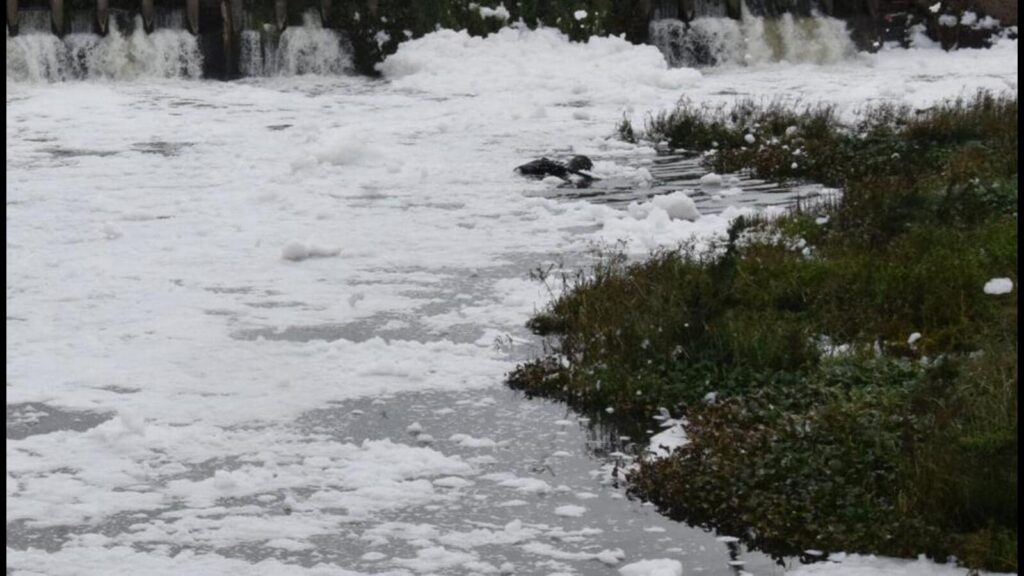 MPCB directed to review compensation calculated for Panchganga pollution