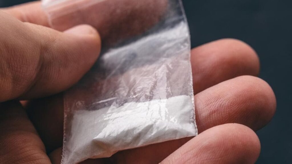 Police launch ‘Drug-free Karnataka’ app to detect peddlers and ganja farmers in the state | Bengaluru