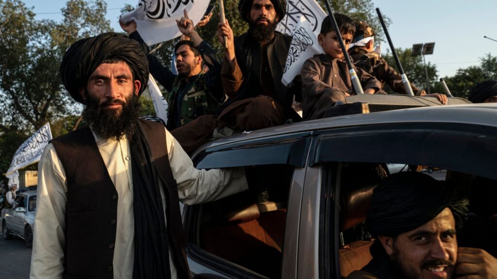 UN Security Council criticises Taliban ban on Afghan women’s medical education | Education