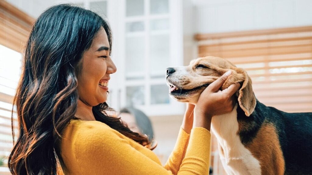 Want to have a deeper connection with your pet dog? Study says gaze into their eyes
