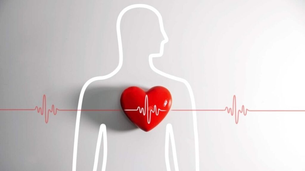 Your heart has its ‘own little brain’: Study discovers how heart surprisingly works like brain | Health
