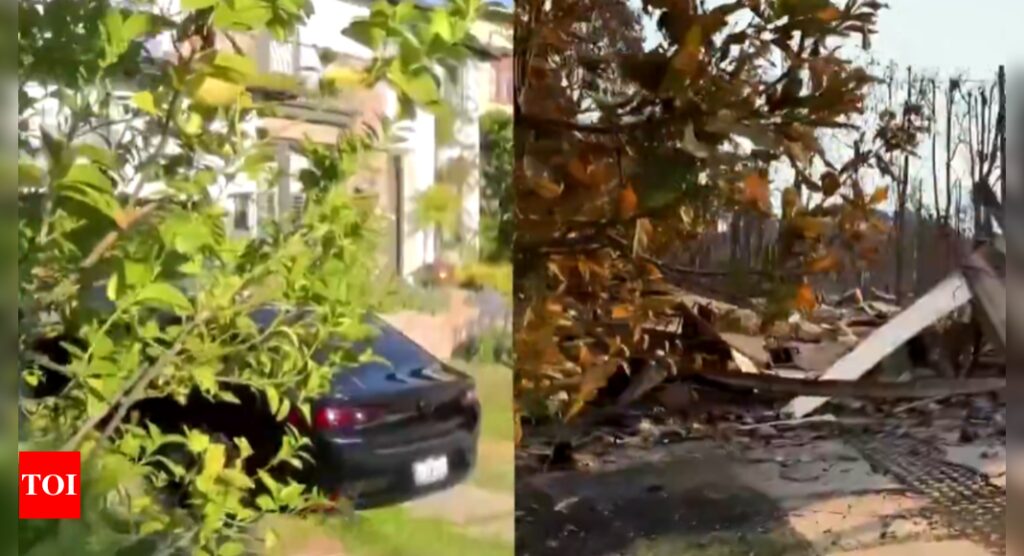 Watch: Before and after videos of Pacific Palisades show trail of destruction caused by California wildfire