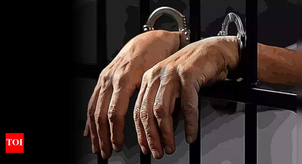 Indian national man pleads guilty to possession of child sexual abuse material