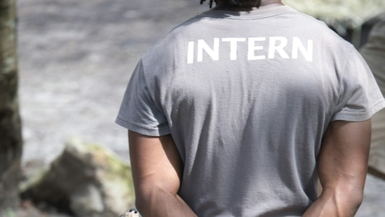 6 government internship opportunities for engineering students offered by IITs, MNRE, MeitY, NIELIT & more