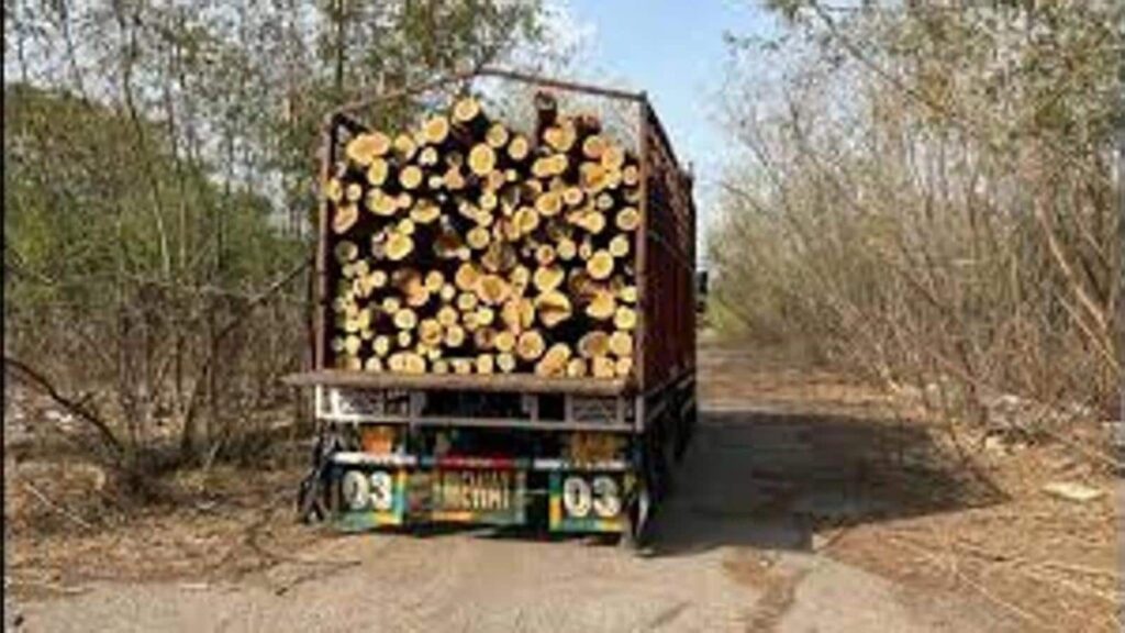 980 trees gone from Greater Noida factory, accountability missing: NGT grills UP authorities