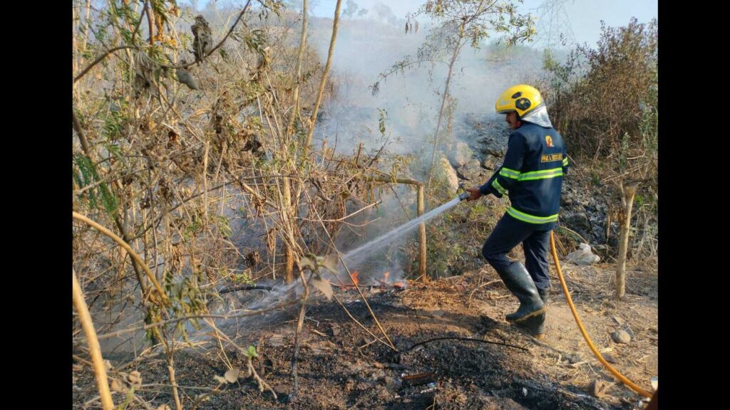 Absence of joint forest management committees worsens urban forest issues