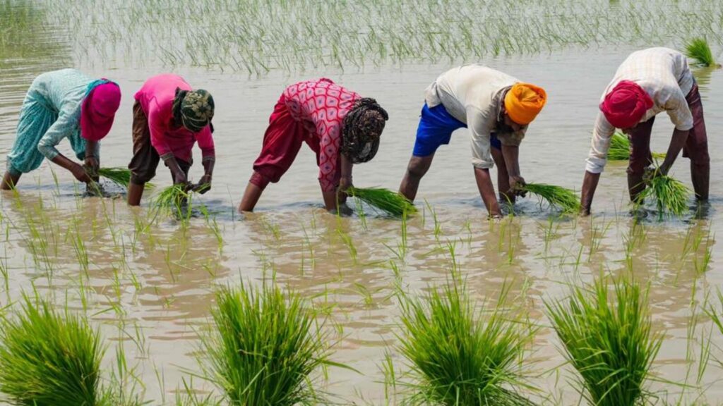 Agriculture exhibition from March 6-10