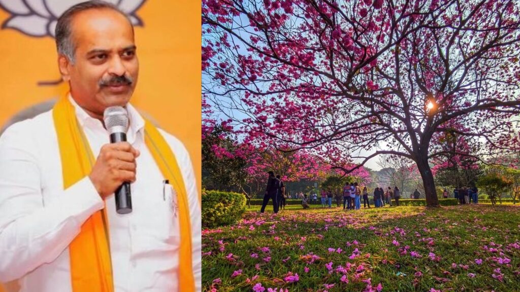 ‘Art park in Cubbon Park a disaster’: BJP leader PC Mohan urges Karnataka government to scrap project | Bengaluru