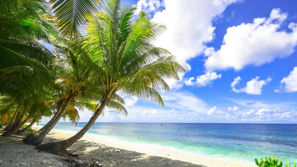 Banana beach to Siesta beach, know the top 5 beaches in the world to visit this summer