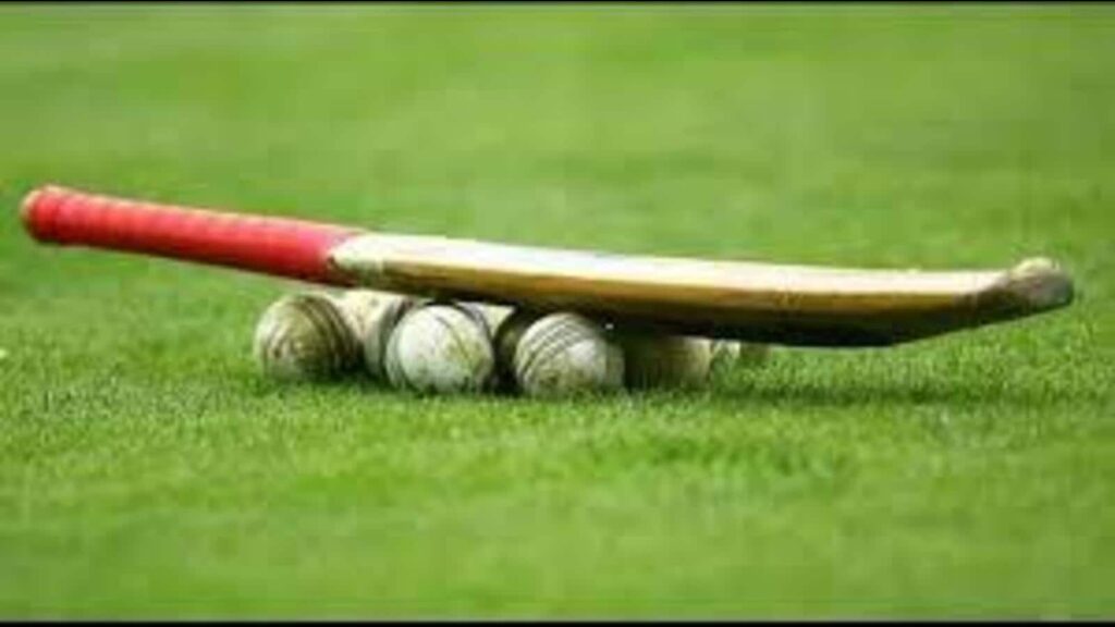 Chandigarh: Hawks crush Panthers as overcast conditions favour bowlers