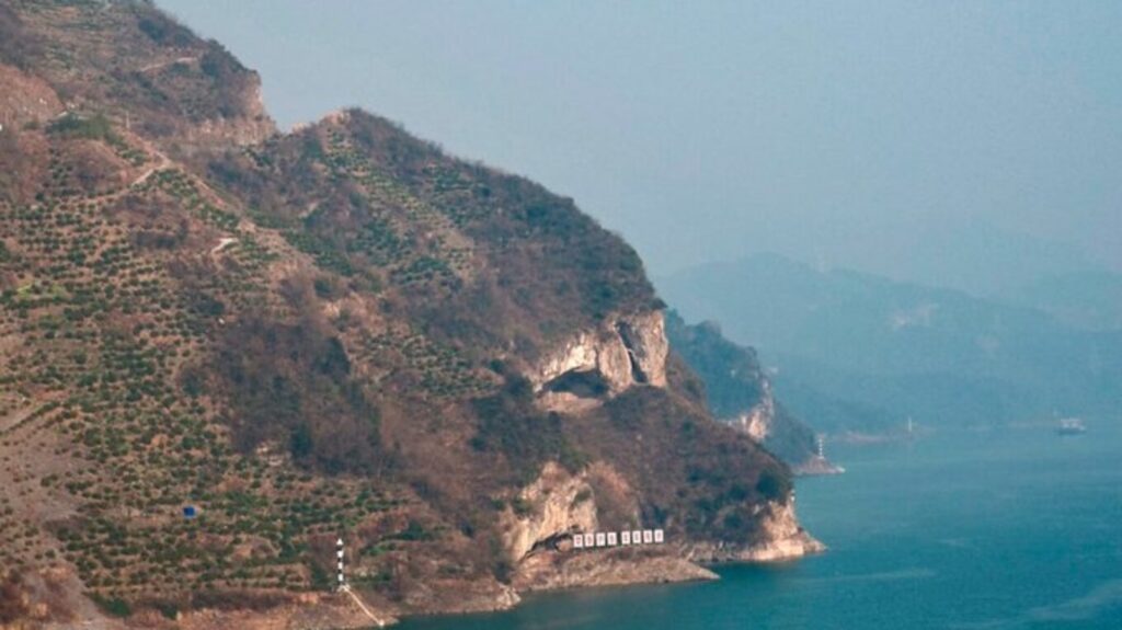China’s adorable ‘Puppy Mountain’ is the Internet’s newest travel obsession | Travel