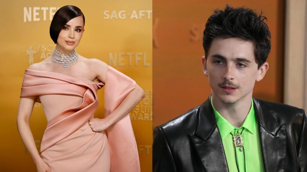 Diamonds were the real stars of the 2025 SAG Awards: Sofia Carson to Timothee Chalamet — sparkling highlights