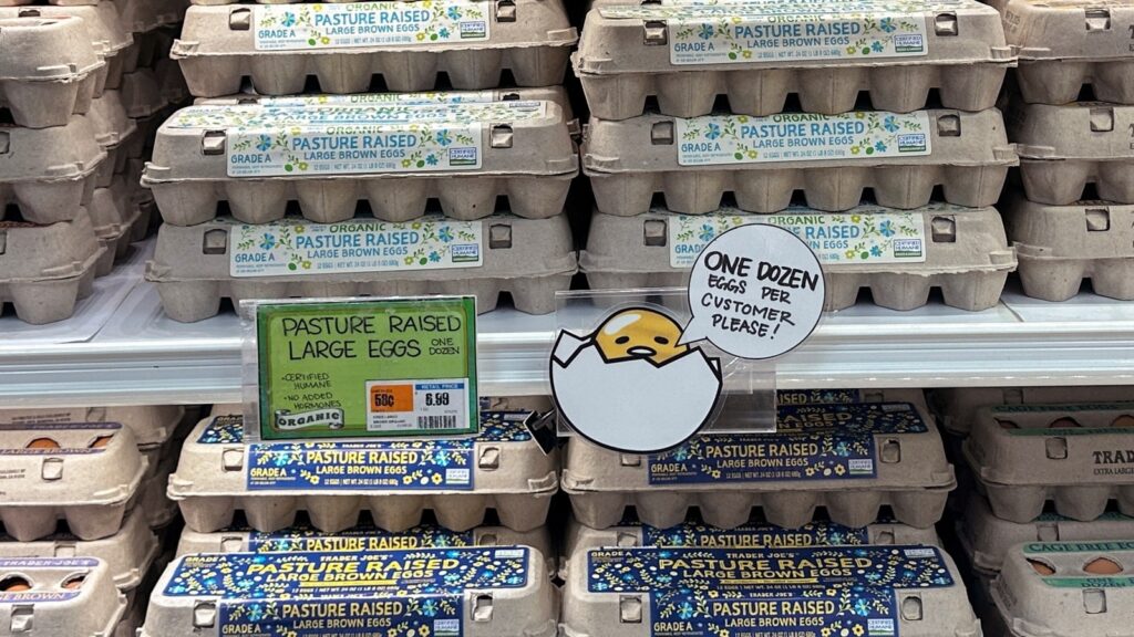 Egg prices in US soar to as high as ₹860 a dozen amid bird flu scare | World News