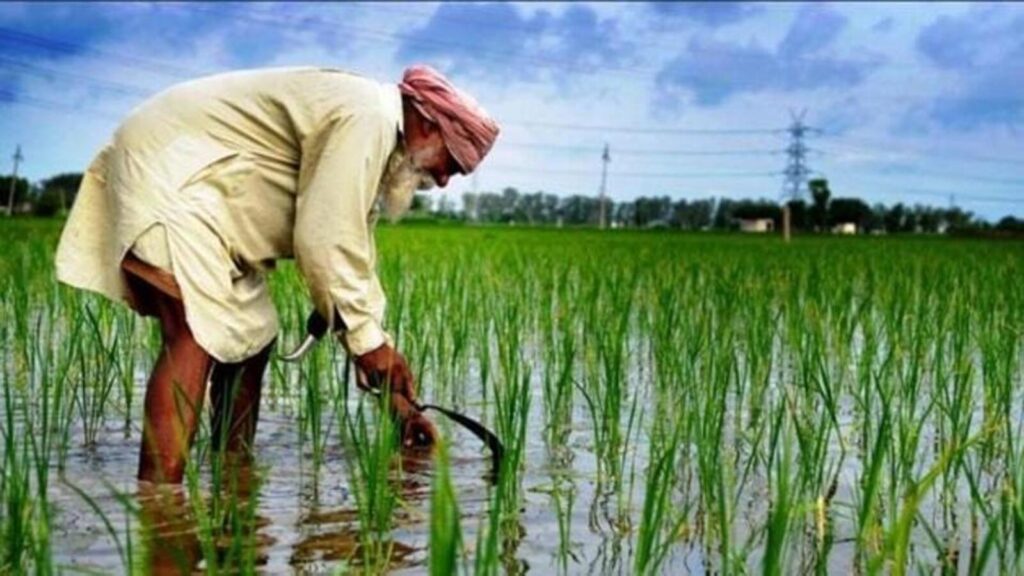 Guest Column| Bring Punjab back on national agenda