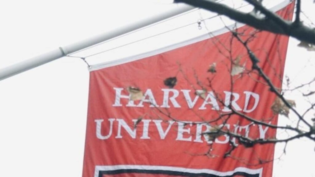 Harvard University faces legal trouble for letting transgender athlete swim in women’s race | Education