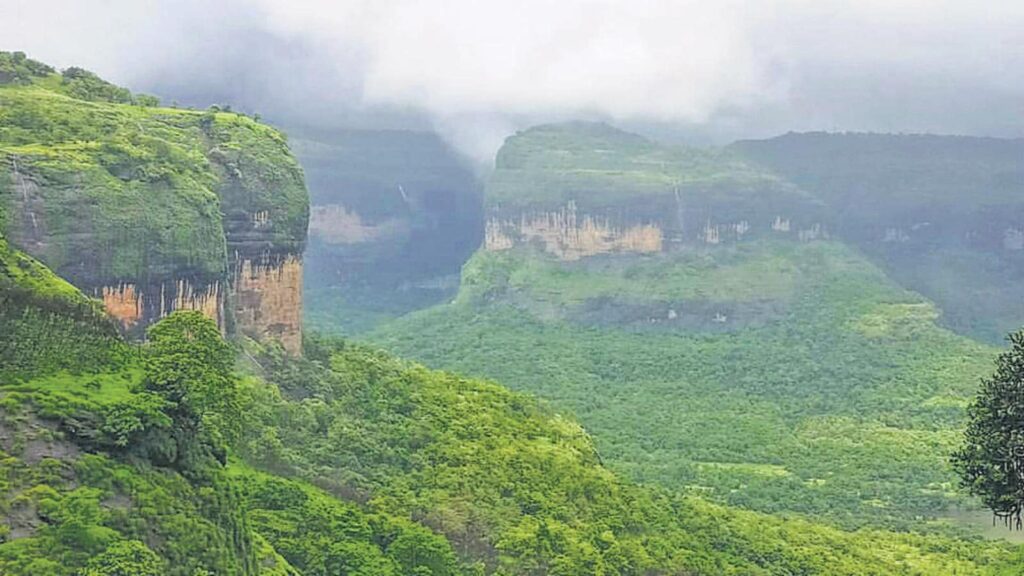IISER study highlights significance of hill slopes in maintaining green cover in Western Ghats