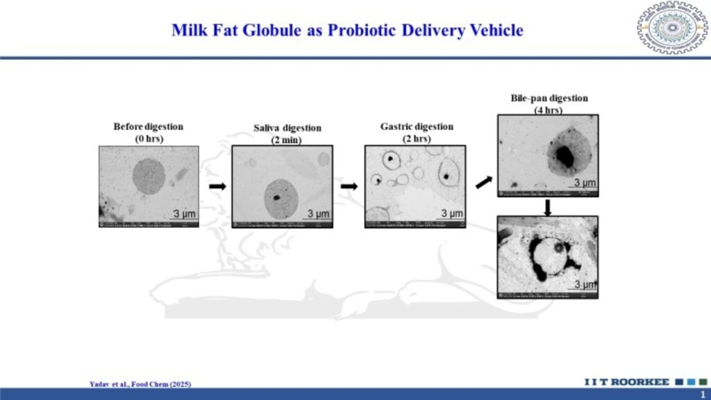 IIT Roorkee explores the potential of mother’s milk as a probiotic delivery vehicle