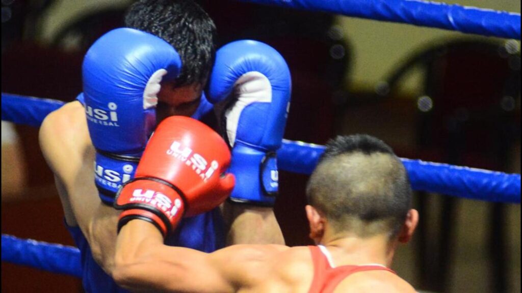 IOA forms ad hoc committee to run Boxing Federation of India