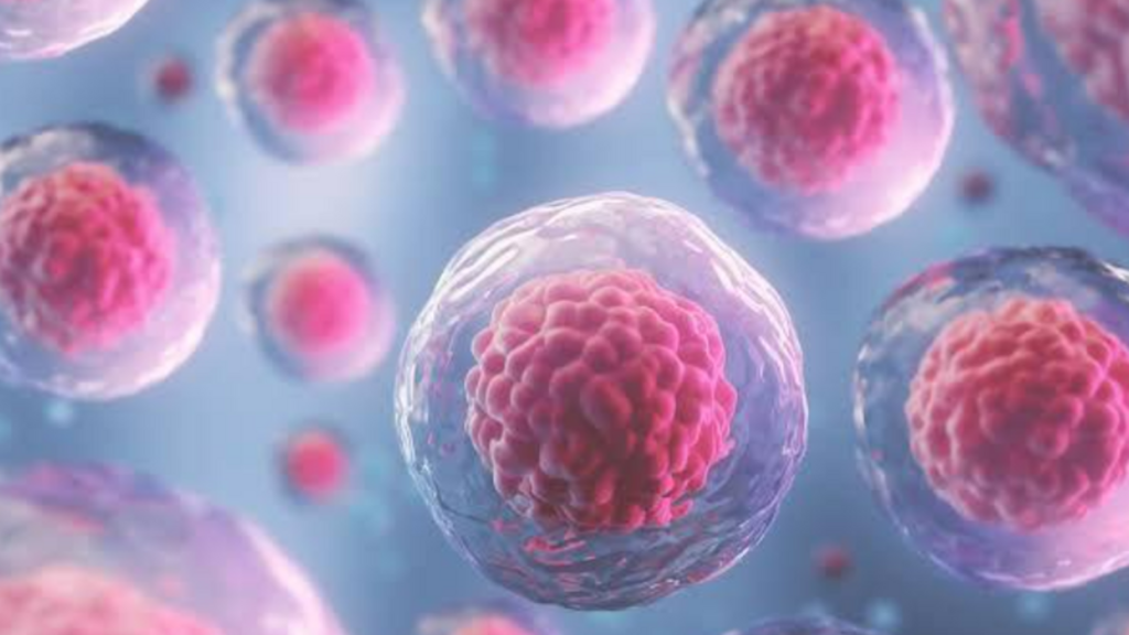 India needs a stronger blood stem cell donor registry