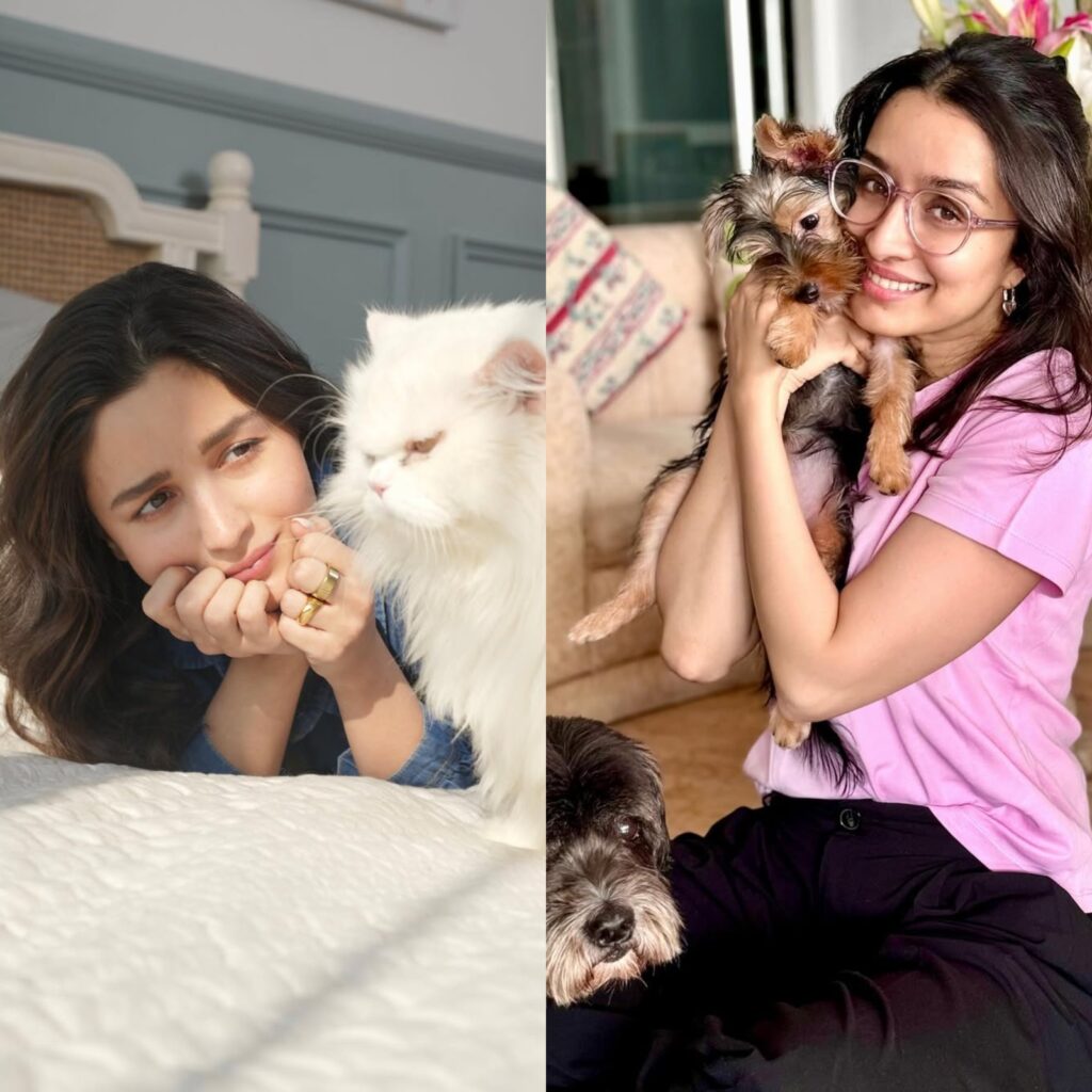 Love Your Pet Day| Alia Bhatt, Kartik Aaryan to Kriti Sanon, here are Bollywood’s proud pet parents
