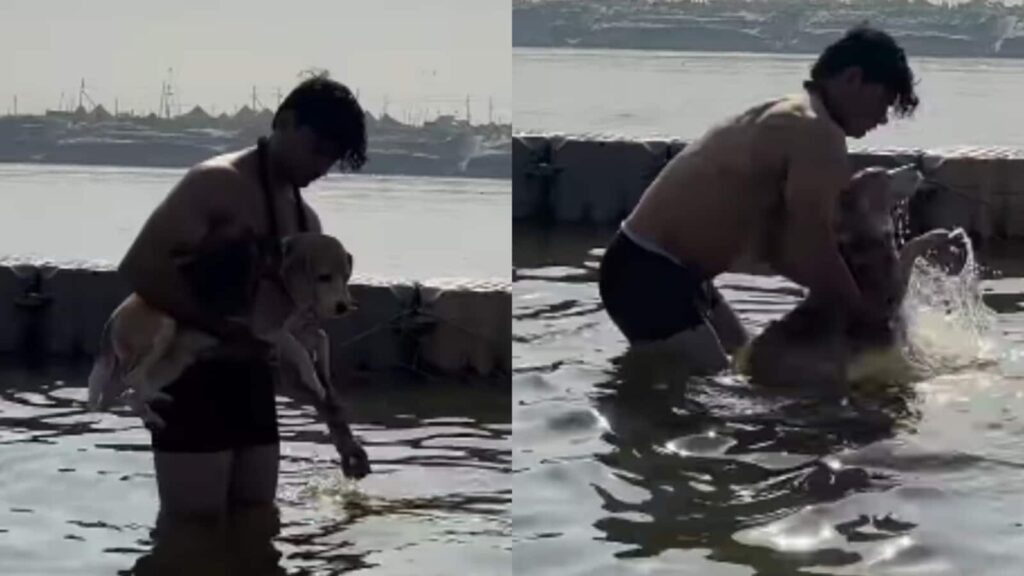 Man and his pet dog take holy dip at Mahakumbh in viral video: ‘Wholesome moment’ | Trending