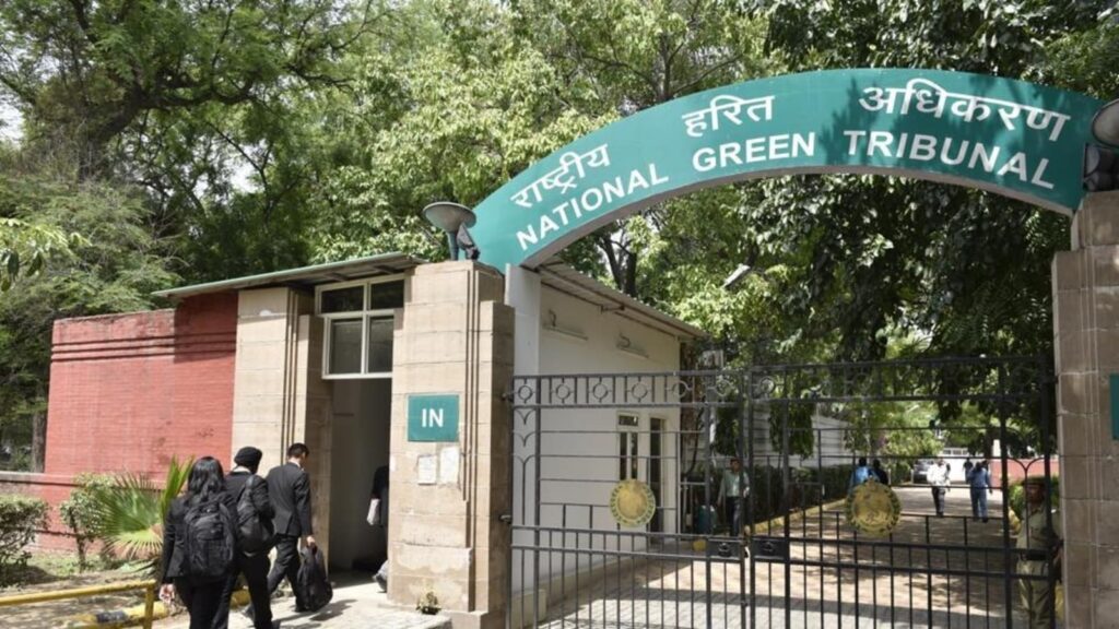 NGT slams DDA for not halting encroachments on floodplains | Latest News Delhi