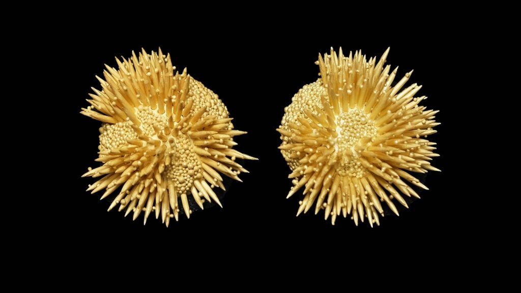 Pause and reflect: Jewellery, canvases designed to seek the stillness within