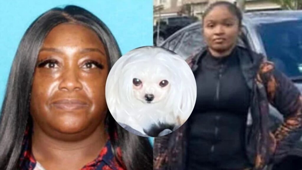 Pittsburg dog-kicking incident: Who are the women arrested following viral animal cruelty video?