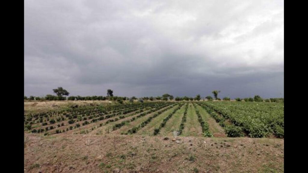 Prepare Purandar airport connectivity plan from Ahmednagar, Satara highways: CM
