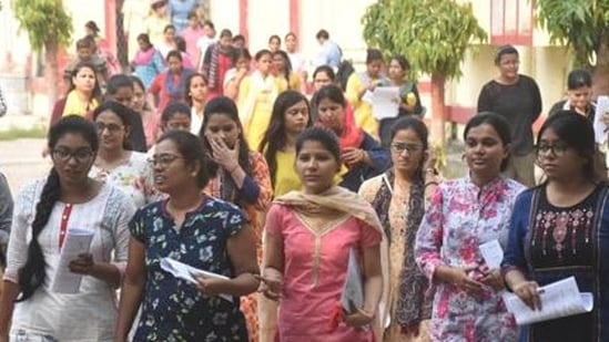 REET 2024 admit card releasing on February 19, check steps to download from rajeduboard.rajasthan.gov.in | Competitive Exams