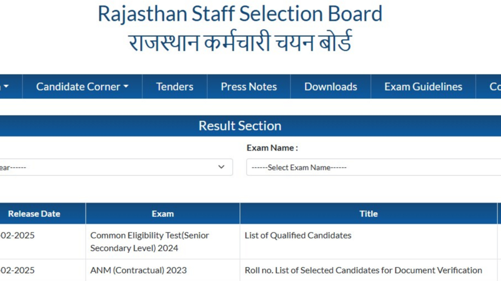 RSMSSB Result 2024: 12th-level CET results released at rssb.rajasthan.gov.in, check via direct link