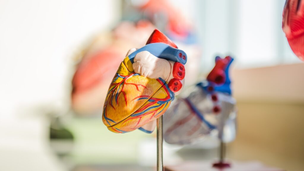 Remnant cholesterol: What is it? Doctor explains its effect on heart health | Health