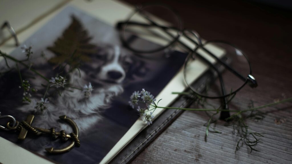 The pain of losing a pet is immense. Here’s how friends can help
